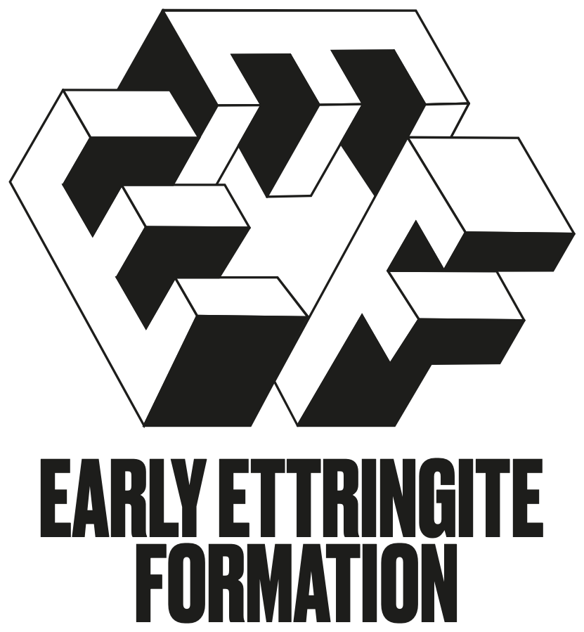 EEF — Early Ettringite Formation