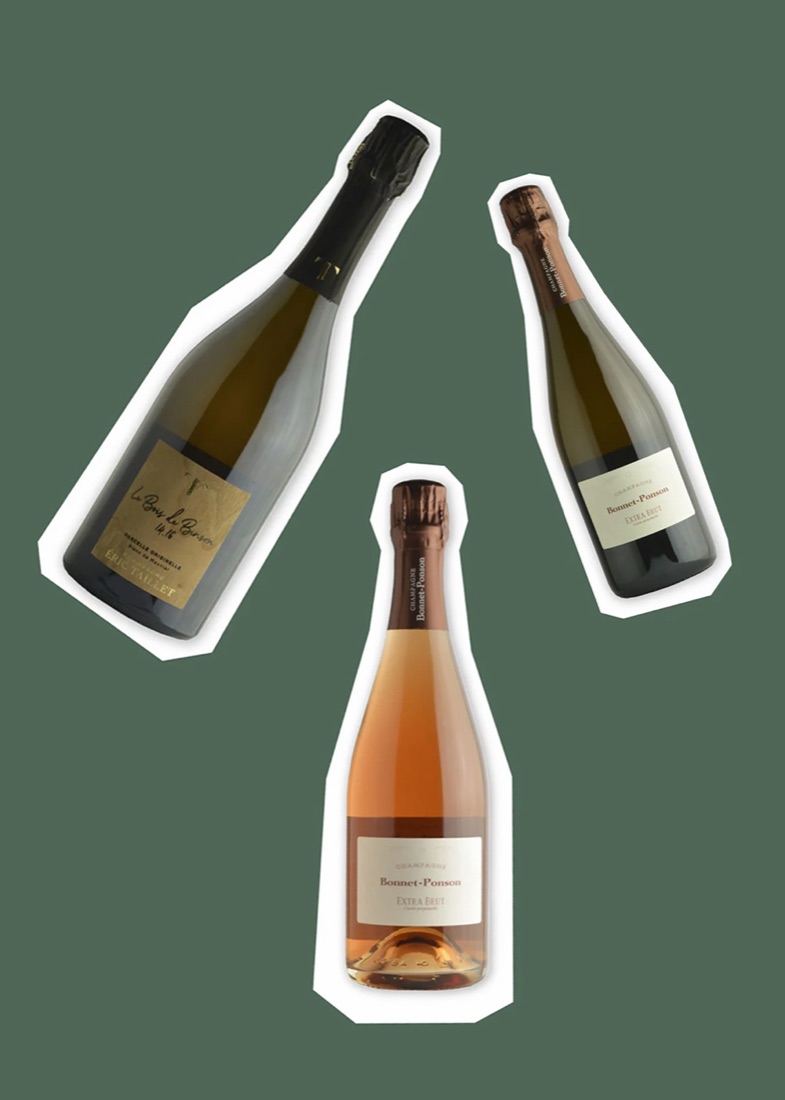 Theshhhop, banner di categoria 2023: champagne