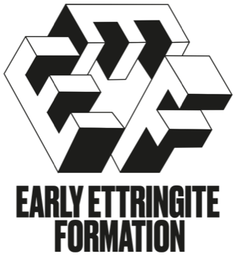 Marchio EEF, Early Ettringite Formation